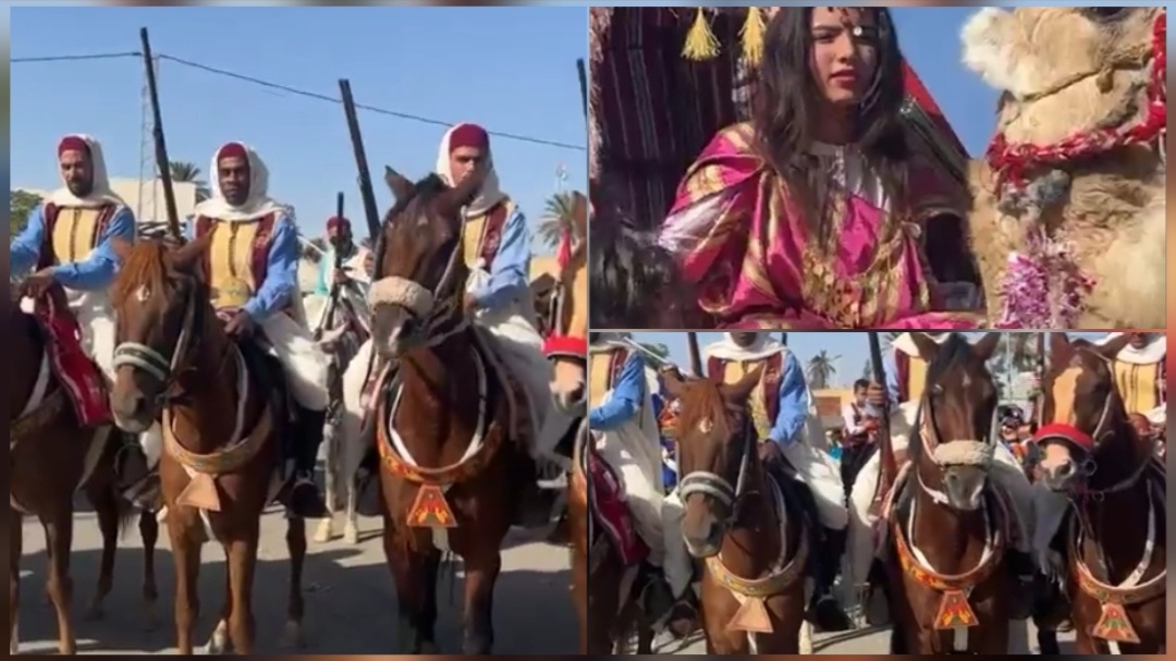 بعد أن كان مهددا بالإلغاء .. المهرجان الدولي للجواد العربي الاصيل بالمكناسي ينطلق اليوم